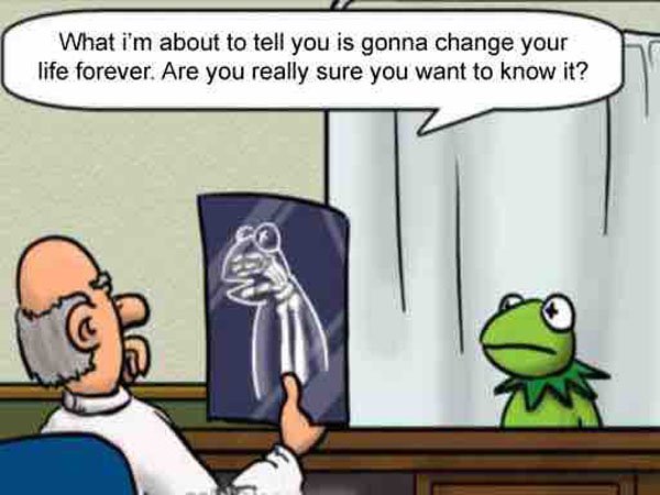 funny kermit the frog - What i'm about to tell you is gonna change your life forever. Are you really sure you want to know it?