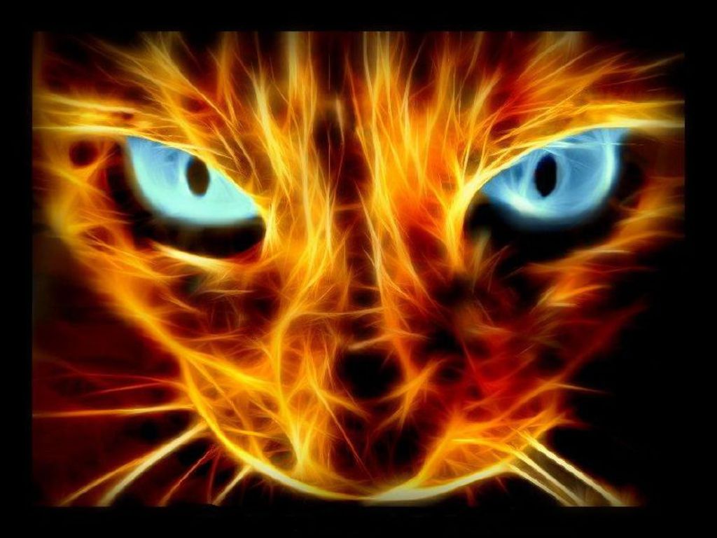fire cats