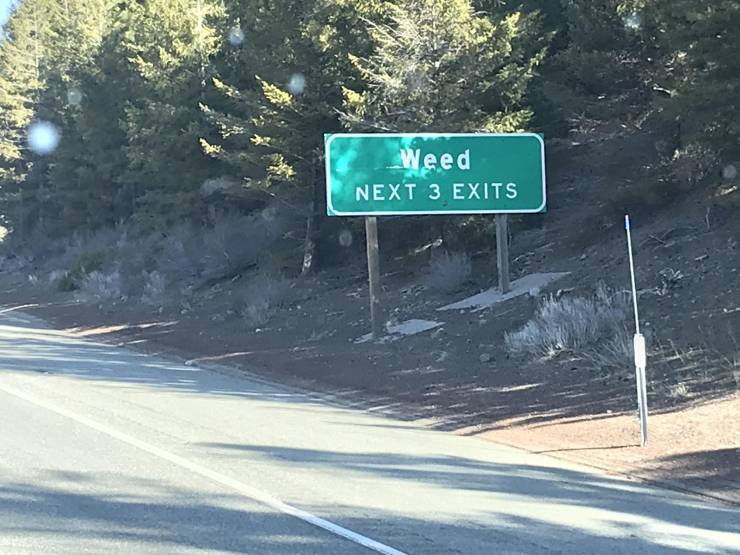 lane - Weed Next 3 Exits