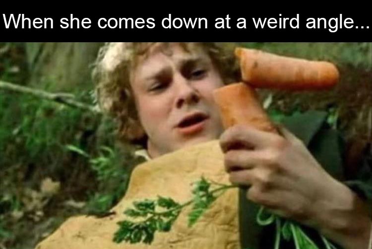 lord of the rings carrot meme - When she comes down at a weird angle...
