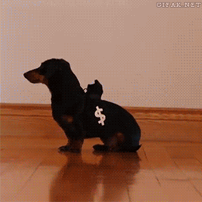 33 Awesome GIFs For Your Ocular Enjoyment!