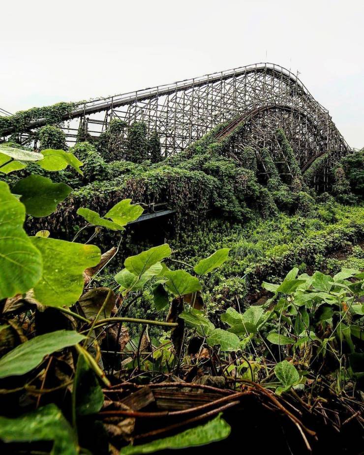 structures taken over by nature rollercoaster