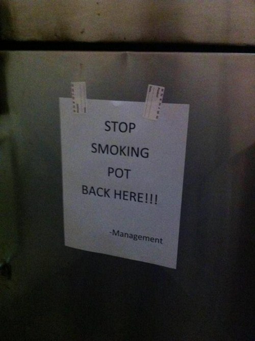 sign - Stop Smoking Pot Back Here!!! Management