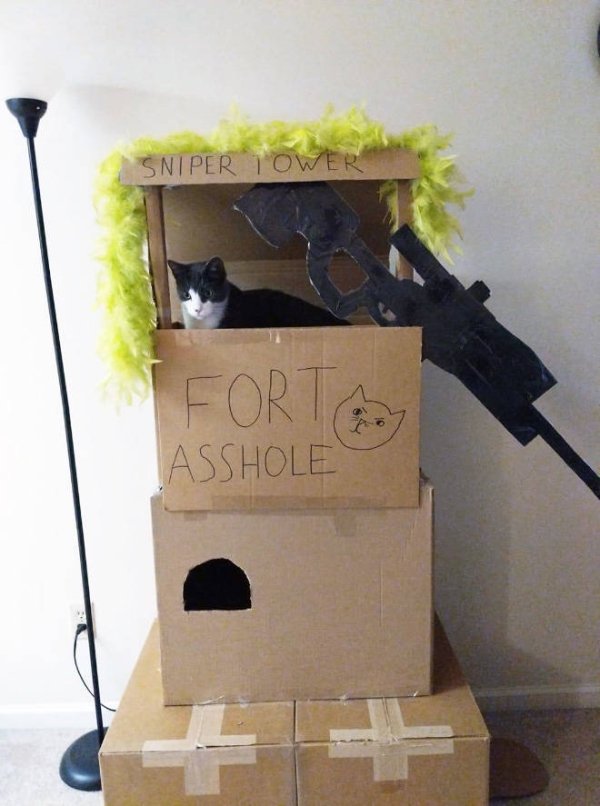 cat sitting fort asshole - Sniper Tower oi Fort Asshole