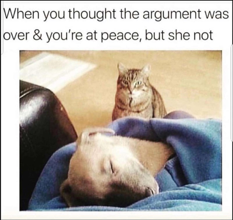 dog memes - When you thought the argument was over & you're at peace, but she not