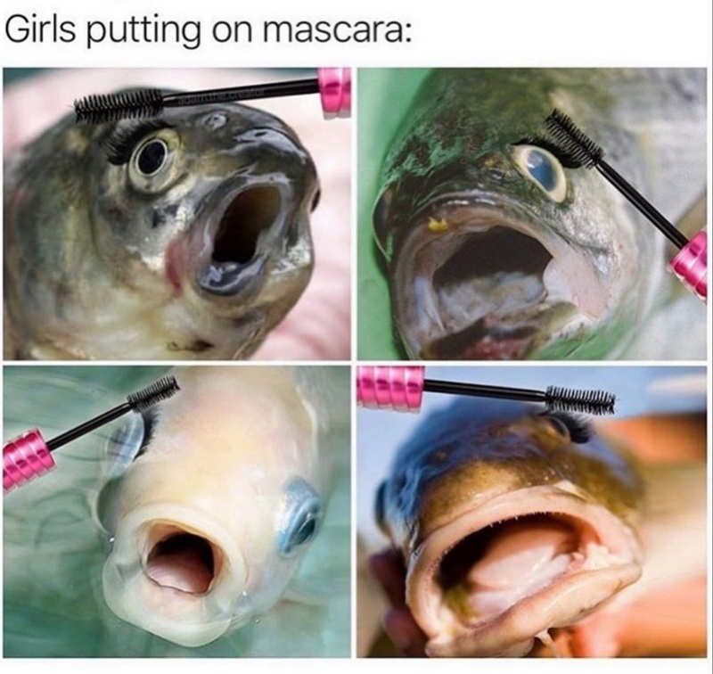 girls putting on mascara meme - Girls putting on mascara