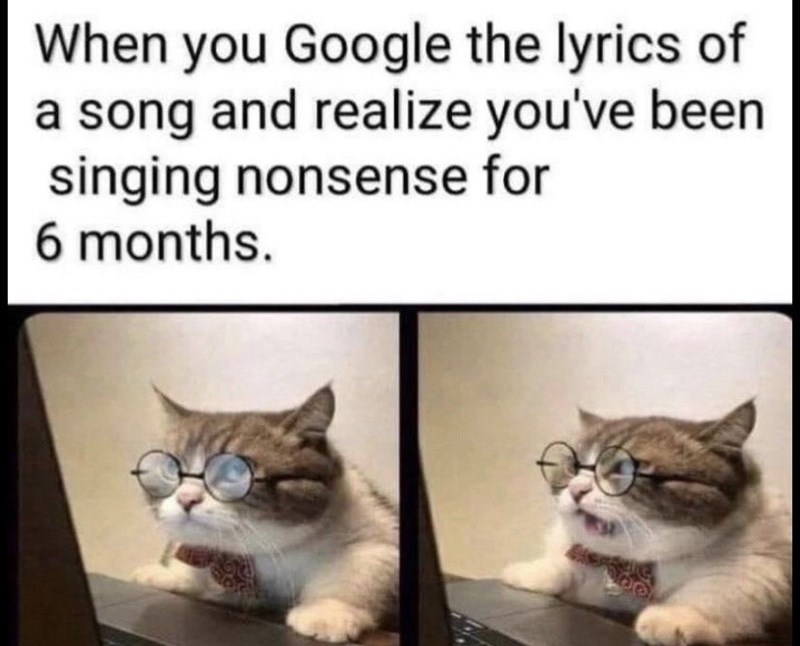 you google the lyrics meme - When you Google the lyrics of a song and realize you've been singing nonsense for 6 months.