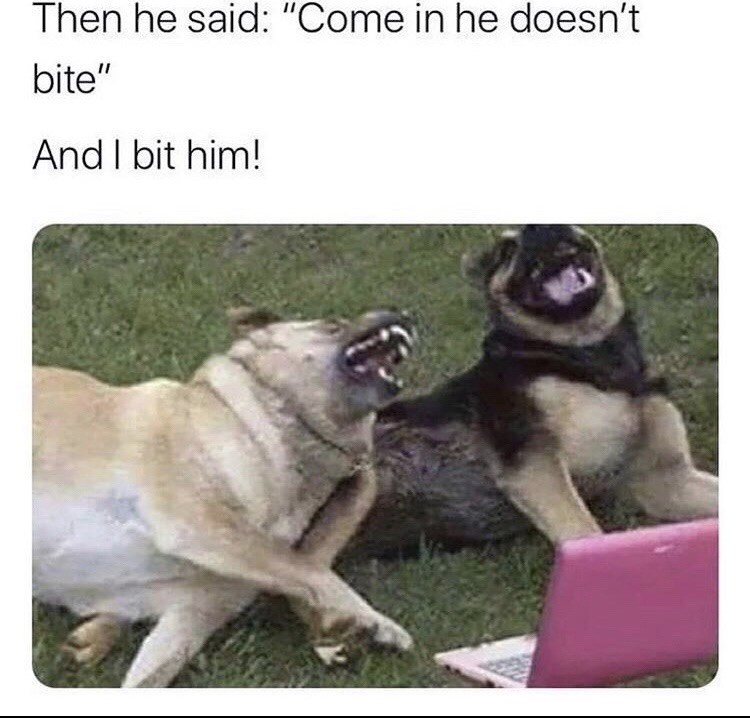 then he said come in he doesn t bite - Then he said "Come in he doesn't bite" And I bit him!