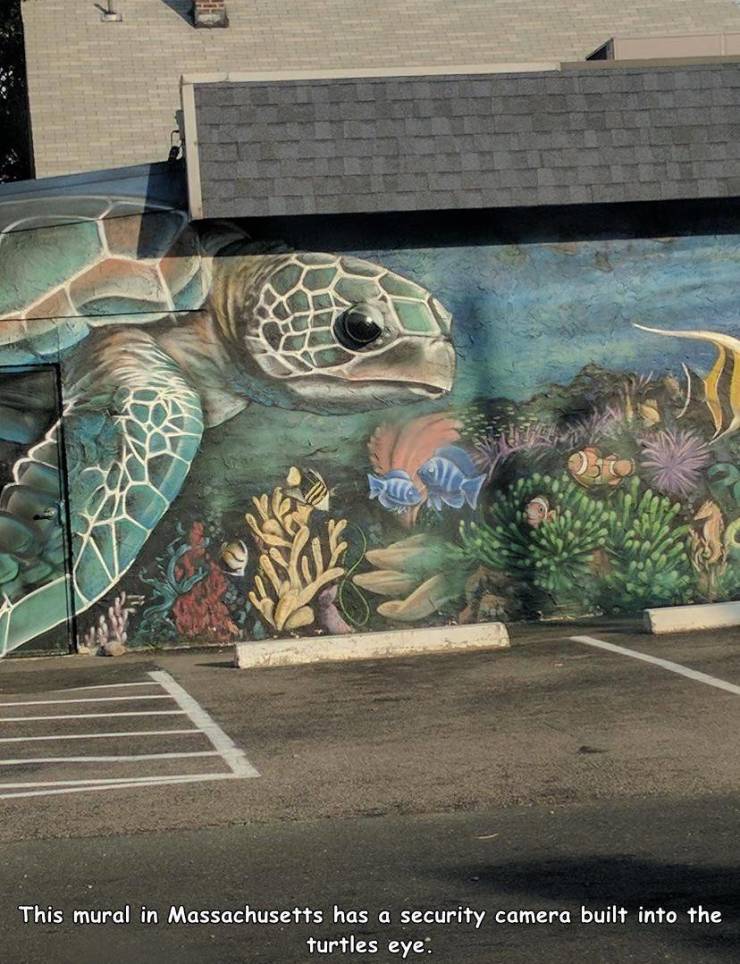 mural - This mural in Massachusetts has a security camera built into the turtles eye