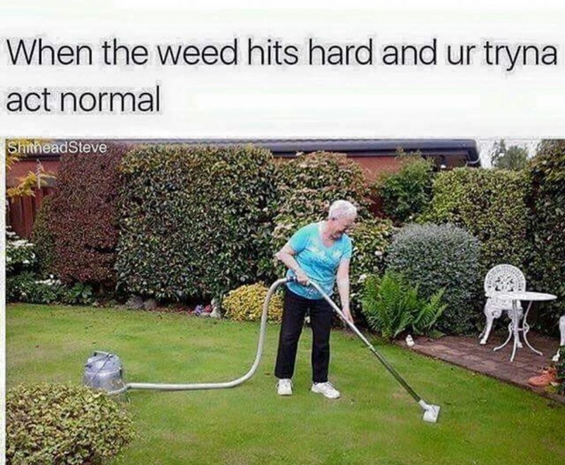 woman vacuuming lawn - When the weed hits hard and ur tryna act normal ShitheadSteve We