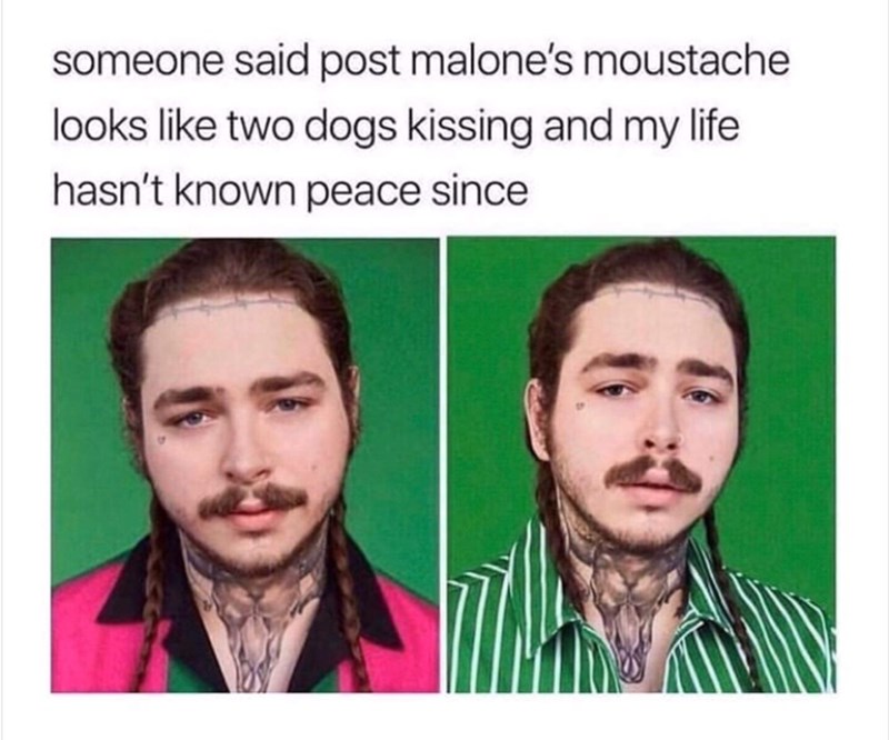 post malone funny meme - someone said post malone's moustache looks two dogs kissing and my life hasn't known peace since