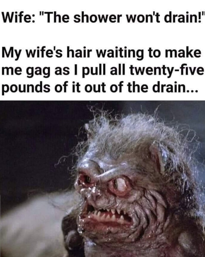 wife the shower won t drain - Wife "The shower won't drain!' My wife's hair waiting to make me gag as I pull all twentyfive pounds of it out of the drain...