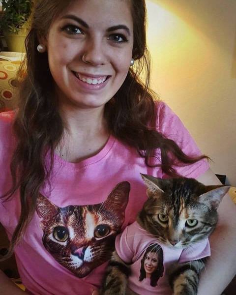 cat wearing shirts