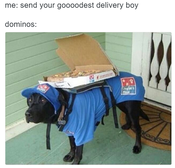 dog delivers pizza - me send your goooodest delivery boy dominos Pela