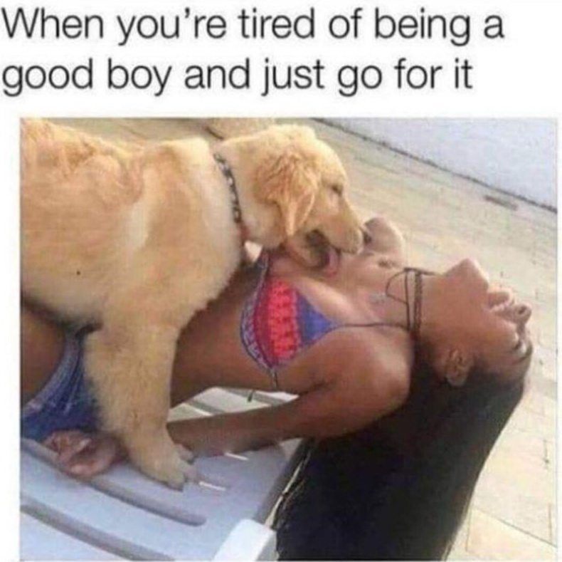 you re tired of being a good boy and just go for it - When you're tired of being a good boy and just go for it