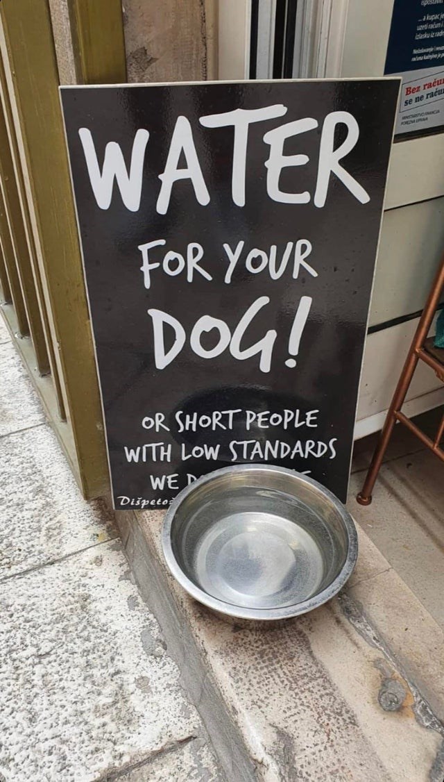 akupacje r radu se ne rac Water For Your Dog! Or Short People With Low Standards Wed Dipetos