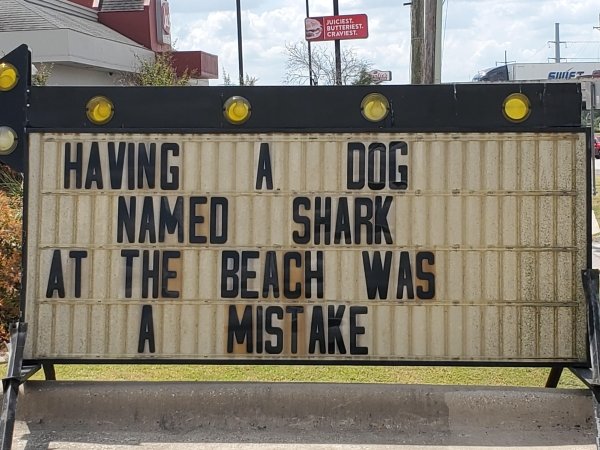 signage - Ricies Butteriest Cravest Sune Having A Dog Named Shark At The Beach Was A Mistake
