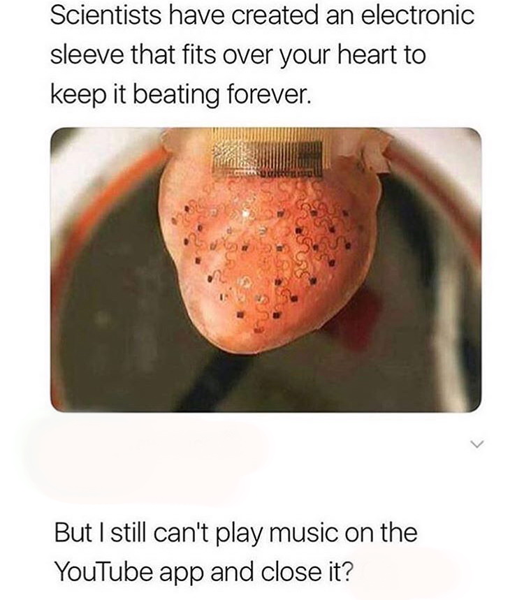 chicken brent meme - Scientists have created an electronic sleeve that fits over your heart to keep it beating forever. But I still can't play music on the YouTube app and close it?