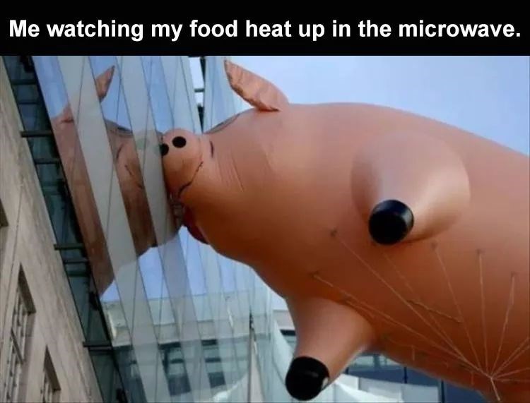 me watching my food in the microwave - Me watching my food heat up in the microwave.
