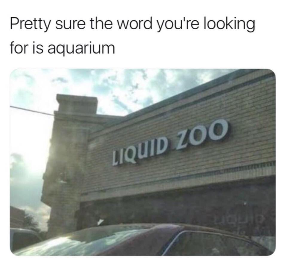 liquid zoo meme - Pretty sure the word you're looking for is aquarium Liquid Zoo