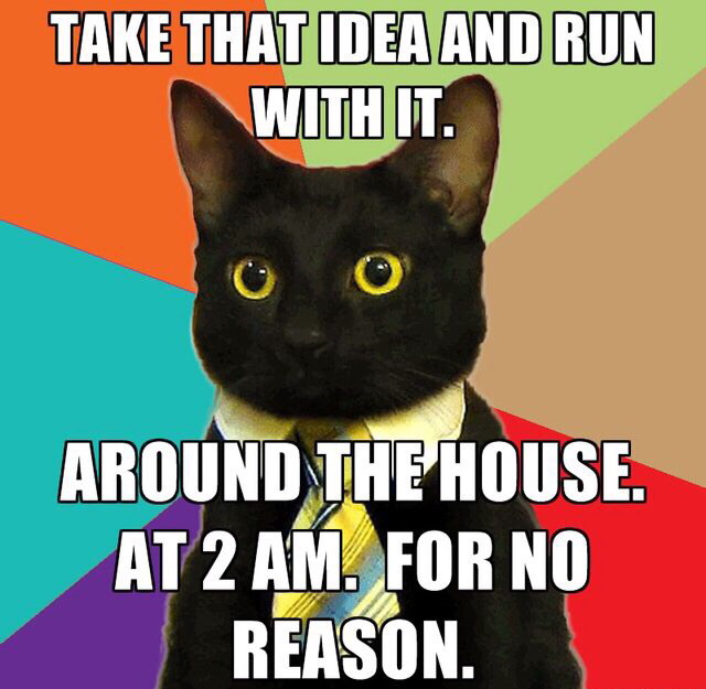 business cat meme - Take That Idea And Run With It. Around The House. At 2 Am. For No Reason.