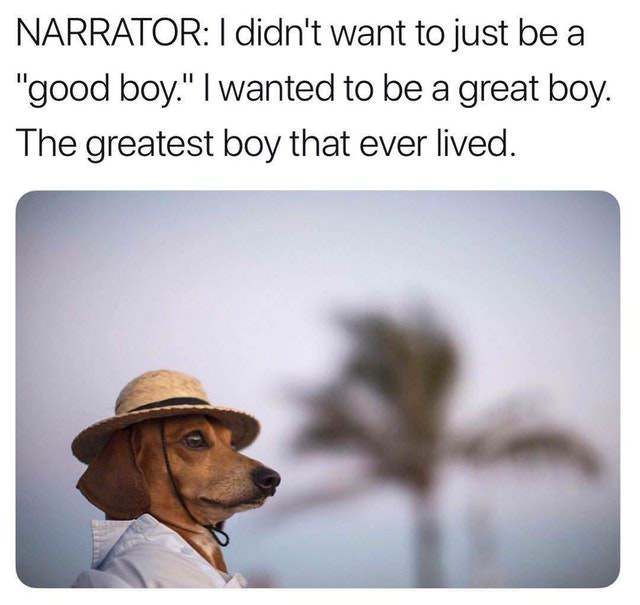 wanted to be greatest boy meme - Narrator I didn't want to just be a "good boy." I wanted to be a great boy. The greatest boy that ever lived.