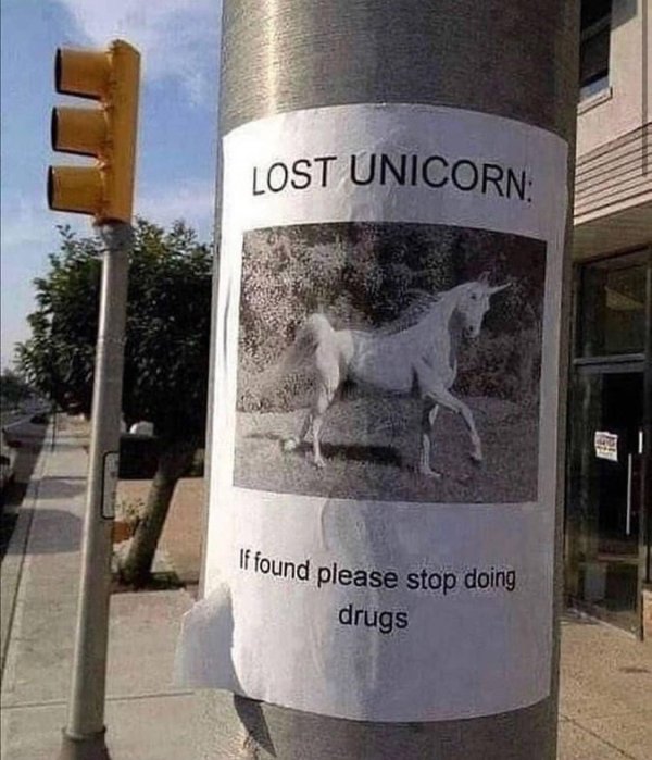 lost unicorn if found stop doing drugs - If found please stop doing Lost Unicorn drugs