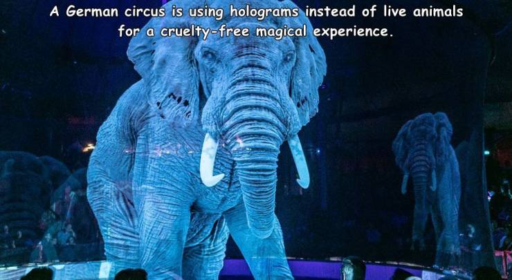 holographic circus - A German circus is using holograms instead of live animals for a crueltyfree magical experience.