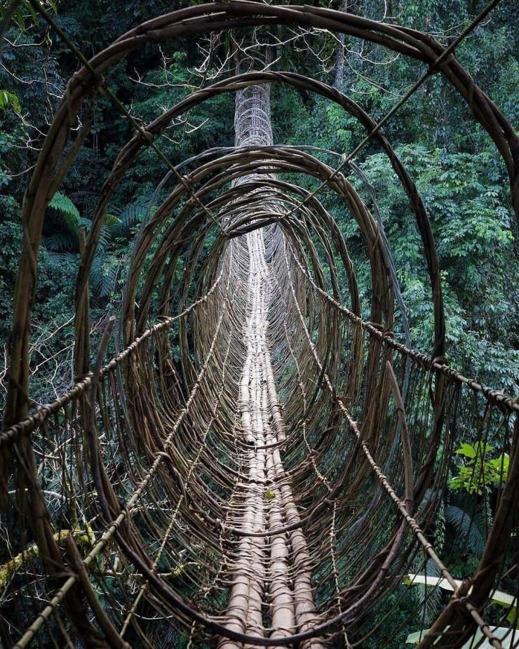 hanging bridge in boleng arunachal pradesh india