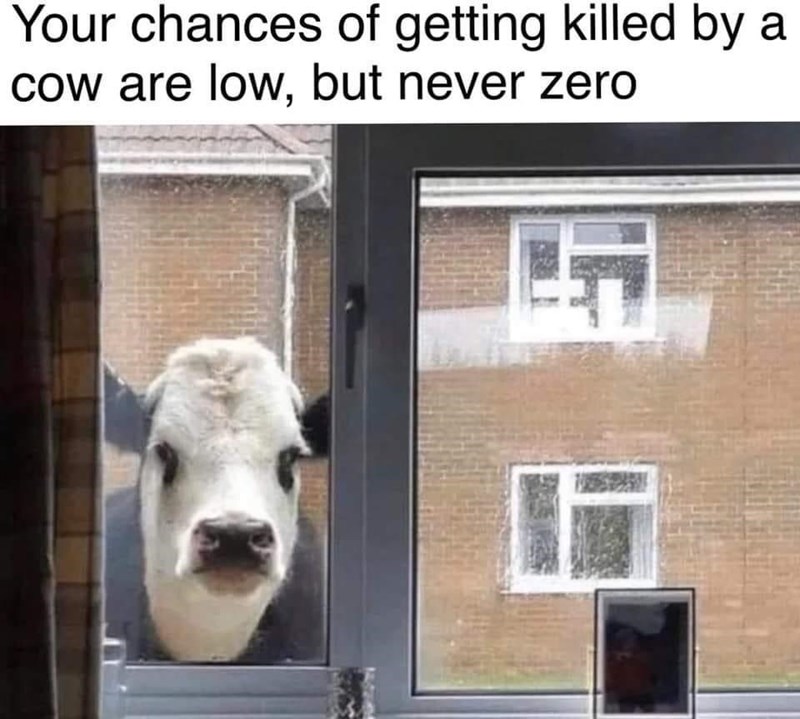 your chances of getting killed by a cow are low but never zero - Your chances of getting killed by cow are low, but never zero