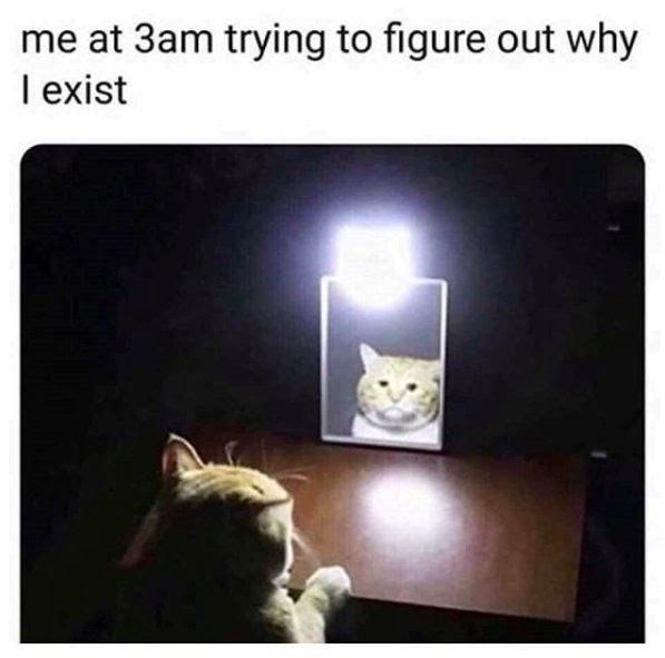 cat staring at mirror meme - me at 3am trying to figure out why I exist