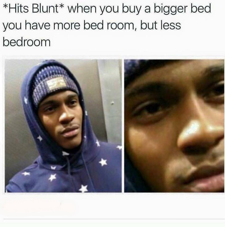 hits blunt memes - Hits Blunt when you buy a bigger bed you have more bed room, but less bedroom