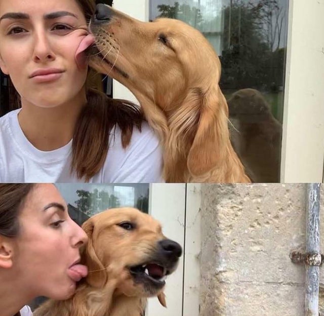 girl licks dog