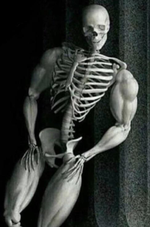 swole skeleton