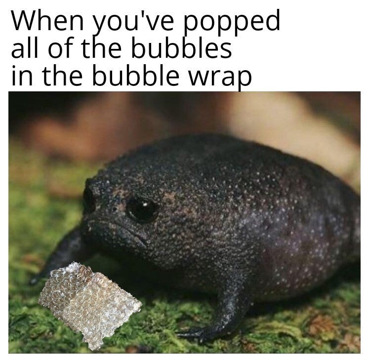 dumb people memes - When you've popped all of the bubbles in the bubble wrap