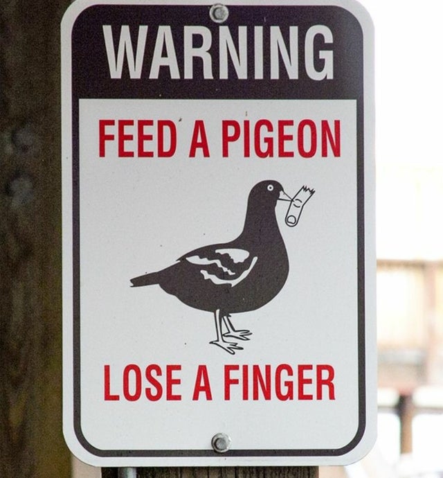 funny signs - Warning Feed A Pigeon Lose A Finger