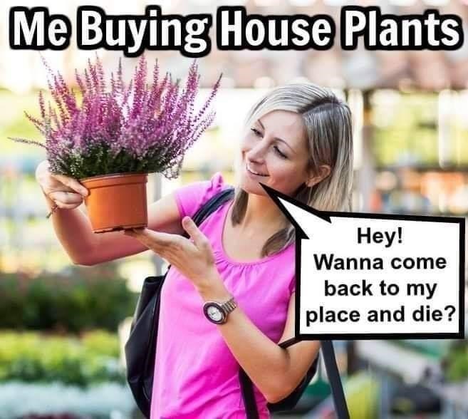 photo caption - Me Buying House Plants Ana Bure Hey! Wanna come back to my place and die?