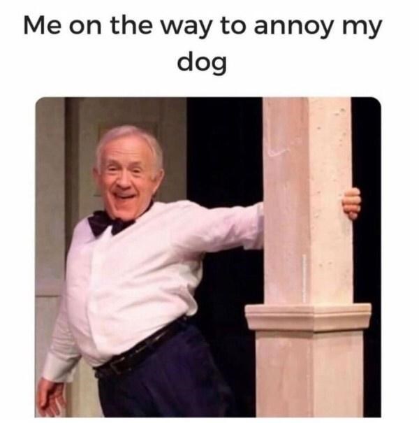 leslie jordan meme - Me on the way to annoy my dog