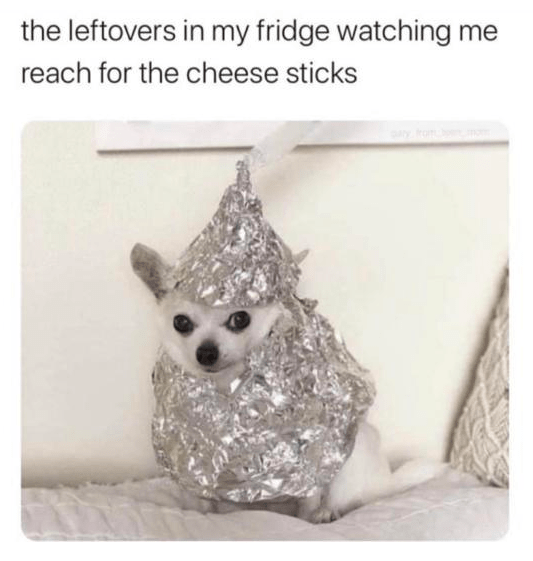chihuahua tin foil hat - the leftovers in my fridge watching me reach for the cheese sticks