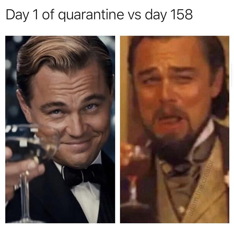 funny memes - leonardo dicaprio memes - Day 1 of quarantine vs day 158 adam.the.creator