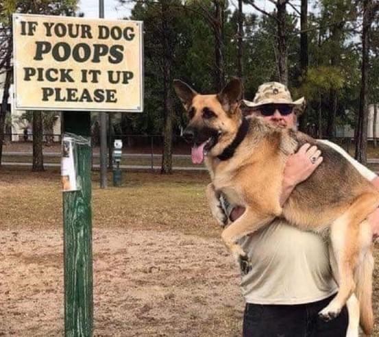 funny memes - if your dog poops pick it up - If Your Dog Poops Pick It Up Please