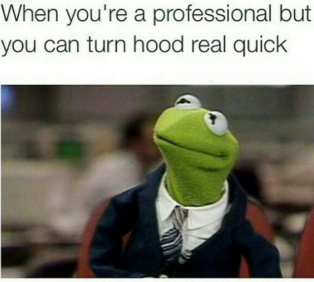 kermit meme work - When you're a professional but you can turn hood real quick