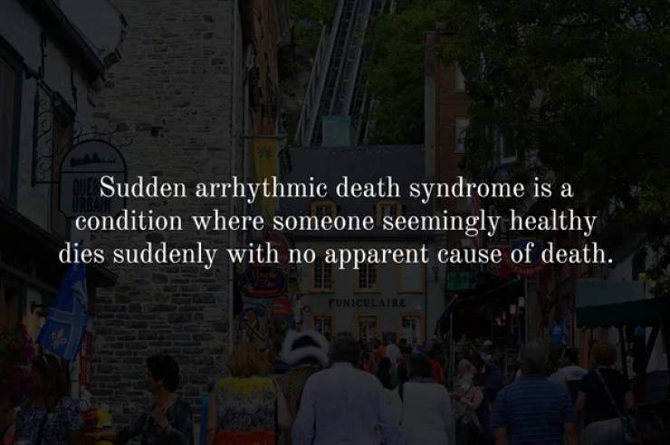 crowd - Sudden arrhythmic death syndrome is a condition where someone seemingly healthy dies suddenly with no apparent cause of death. Tuniculaire