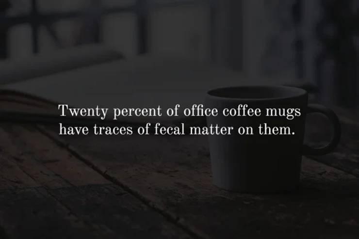 still life photography - Twenty percent of office coffee mugs have traces of fecal matter on them.