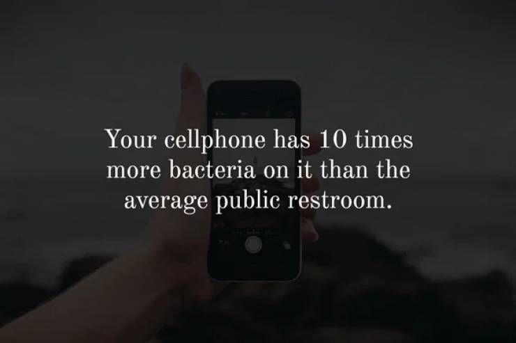 electronics - Your cellphone has 10 times more bacteria on it than the average public restroom.