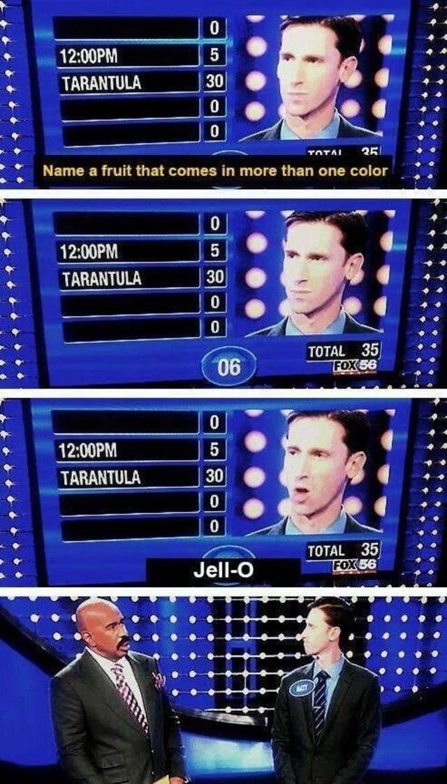 funny family feud answers - 0 5 Pm Tarantula 30 0 0 Total 25 Name a fruit that comes in more than one color 0 5 Pm Tarantula 30 0 0 06 Total 35 Fox 58 0 5 Pm Tarantula 30 0 0 Total 35 FOX56 Jello