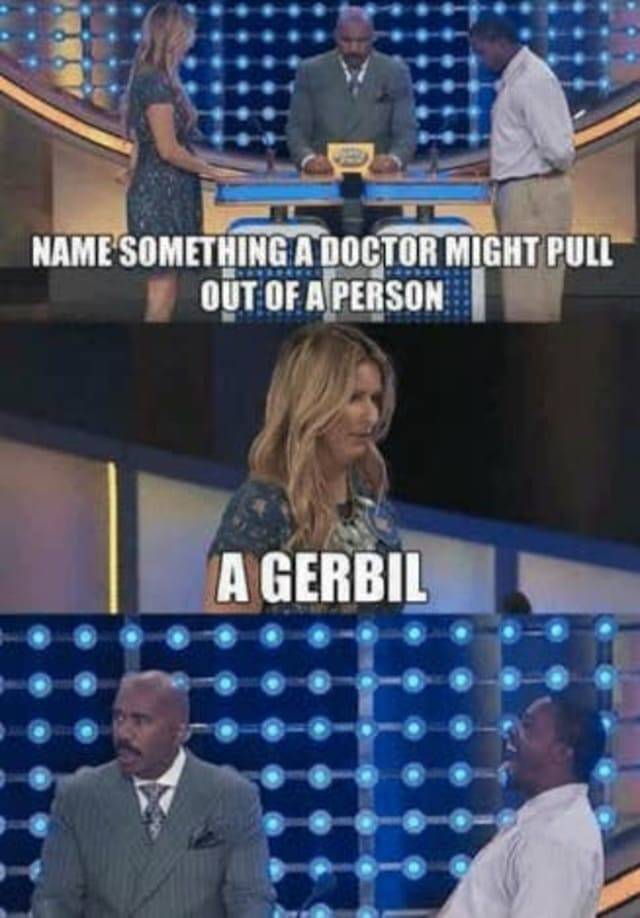 game show funny - Name Something A Doctor Might Pull Out Of A Person A Gerbil