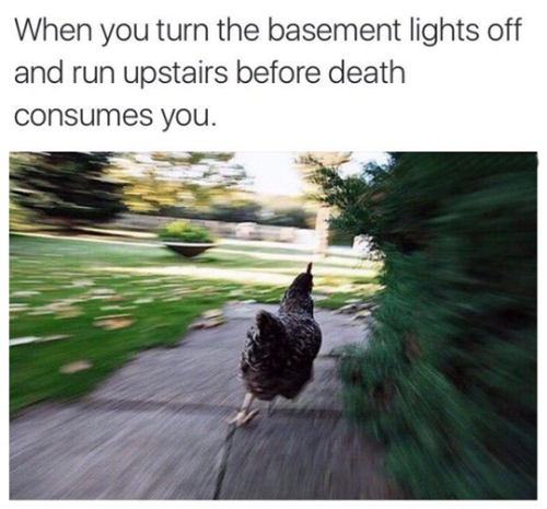 When you turn the basement lights off and run upstairs before death consumes you.
