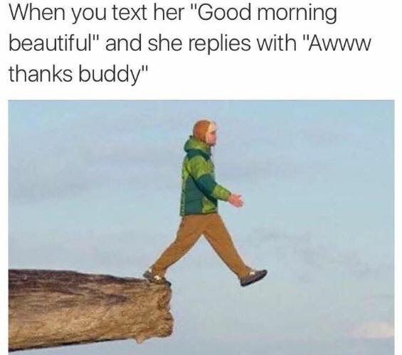 walking off a cliff meme - When you text her good morning beautiful and she replies with awww thanks buddy