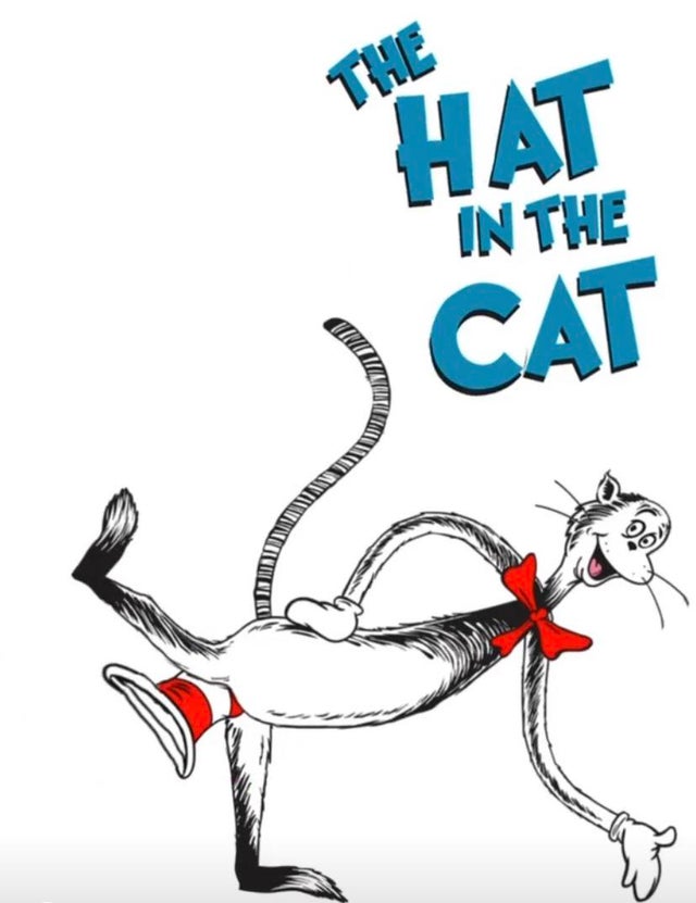 hat in the cat meme tik tok - The Cat In The